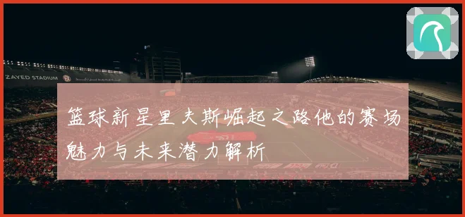 篮球新星里夫斯崛起之路他的赛场魅力与未来潜力解析