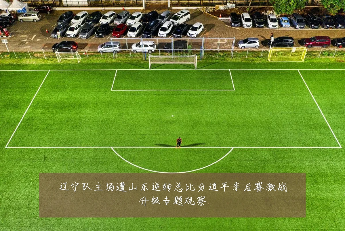 辽宁队主场遭山东逆转总比分追平季后赛激战升级专题观察